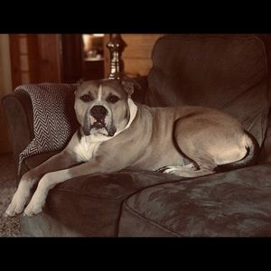 Meet your Posher, Letti